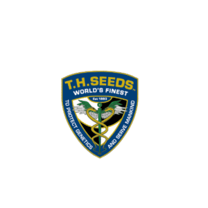 TH Seeds graines de cannabis