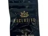 Big Blue Auto Exclusive Seeds Bank