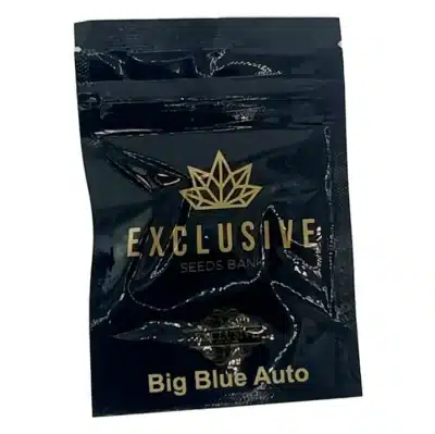 Big Blue auto Exclusive Seeds Bank