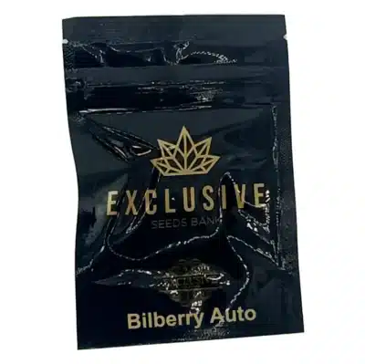 bilberry auto Exclusive seeds bank