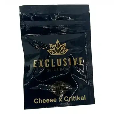 cheese x critikal Exclusive seeds bank