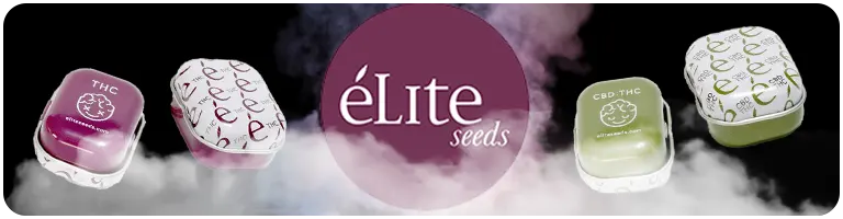 Graines de cannabis Elite Seeds