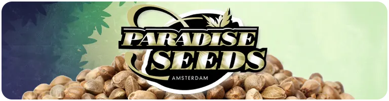 Graines de cannabis Paradise Seeds