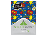 Auto AK Female Seeds