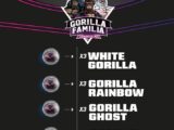 Gorilla Familia BSF Seeds – Mix 12 graines