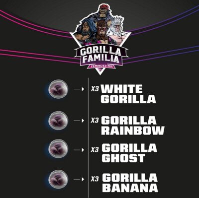 Gorilla Familia BSF Seeds