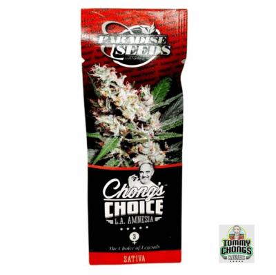 L.A amnesia paradise seeds tommy chong