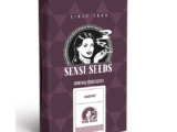 Silver Fire Féminisée Sensi Seeds