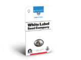 White Cheese Féminisée White Label Seed Company