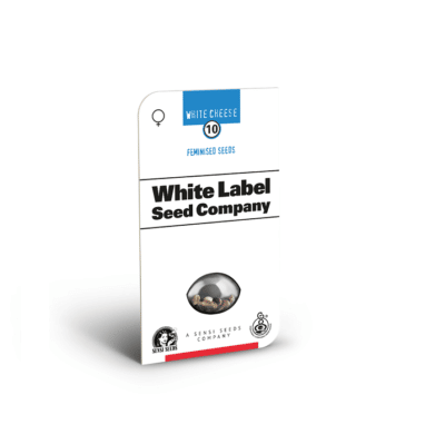 White Cheese White label seed company