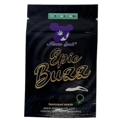 epic buzz Anesia Seeds