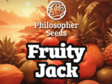 Fruity Jack Féminisée Philosopher Seeds