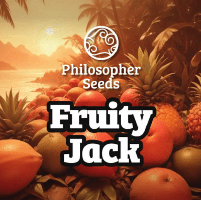 fruity Jack Philosopher seeds