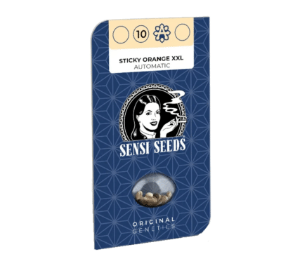 Graines de cannabis auto légendaires sticky orange xxl auto sensi seeds