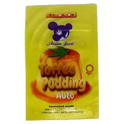 toffee pudding Auto anesia Seeds