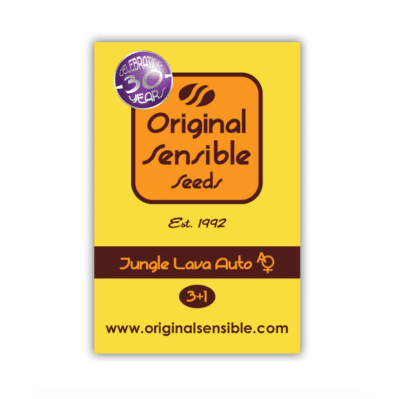 Auto jungle Lava original sensible seeds