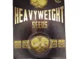 Budzilla Féminisée HeavyWeight Seeds