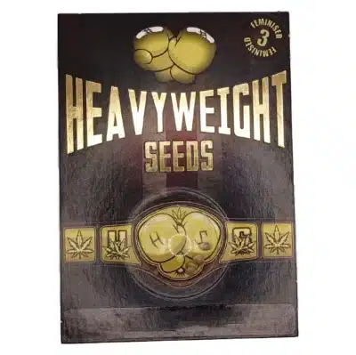 Budzilla heavyweight seeds