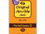 Frosted Guava Féminisée Original Sensible