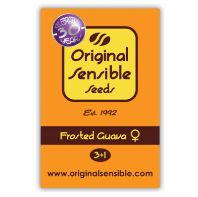 Frosted Guava original sensible seeds