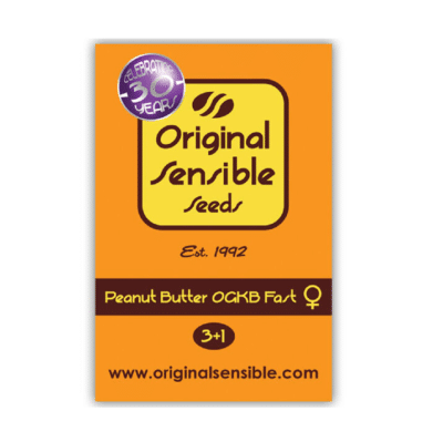 Peanut Butter ogkb fast original sensible seeds