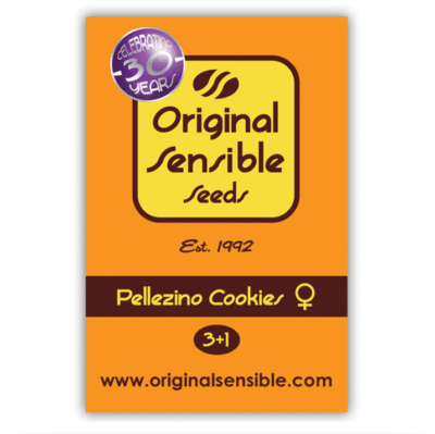 Pellezino cookies graines de cannabis Original Sensible