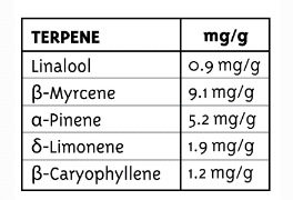 terpenes humboldt dream auto