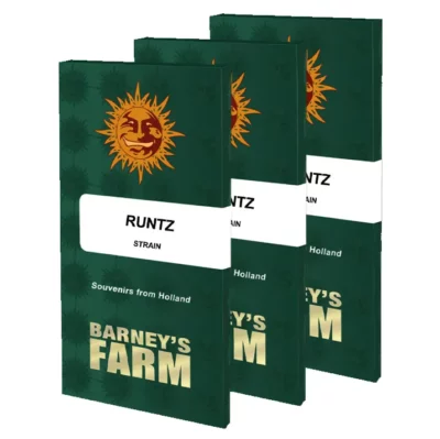 Runtz barney's farm graine de cannabis