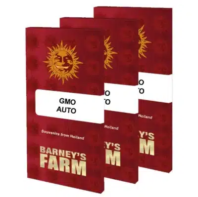 gmo auto barney's farm