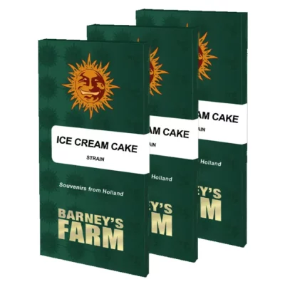 ice cream cake barney's farm graine cannabis