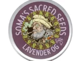 Lavender OG féminisée Soma Seeds