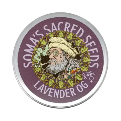 Lavender OG Soma Seeds