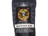 Auto Mangosa Glukies Luso Dream Seeds