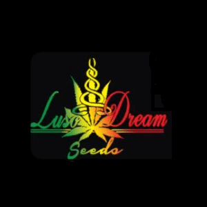 Luso Dream Seeds