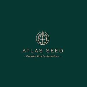 Atlas seed graine cannabis france