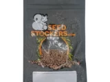 Black Rainbow Auto Seedstockers