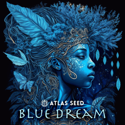 Blue Dream atlas Seeds