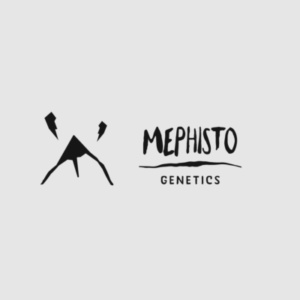 Mephisto Genetics France