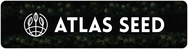 Atlas Seed