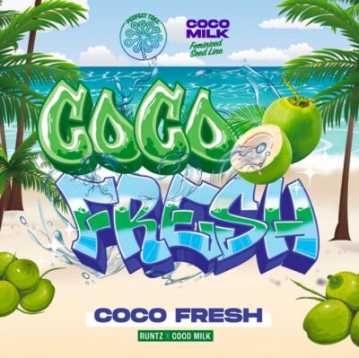 Coco Fresh Perfect Tree Seeds