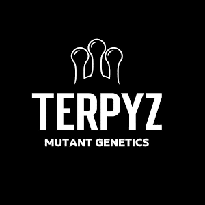 terpyz Mutant genetics graines cannabis