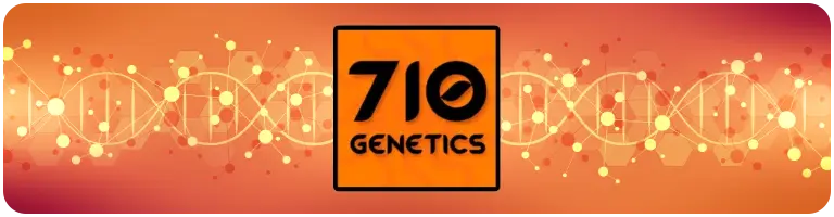 710 genetics cannabis seeds