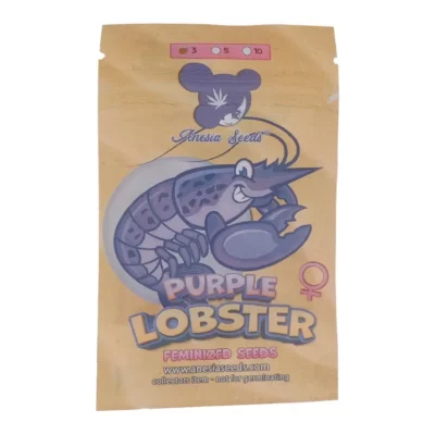 purple lobster Anesia Seeds