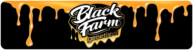 Black Farm Genetix Seeds