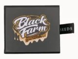 Venice Kush Cake Féminisée Black Farm Genetix