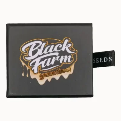 Venice Kush Cake Black Farm Genetix Seeds