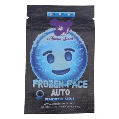 frozen face auto Anesia Seeds