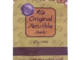 Black Orchid Auto Original Sensible Seeds