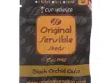 Black Orchid Auto Original Sensible Seeds