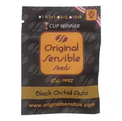 black orchid auto original sensible seeds